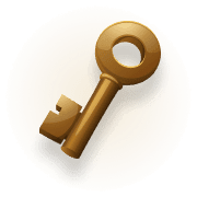 Verification Icon
