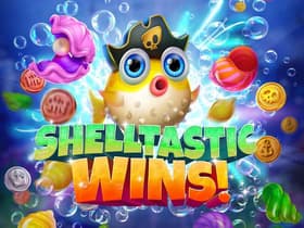 Shelltastic Wins!