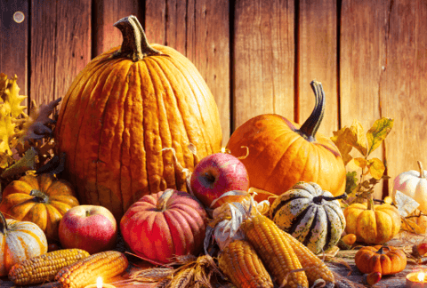 Happy Thanksgiving