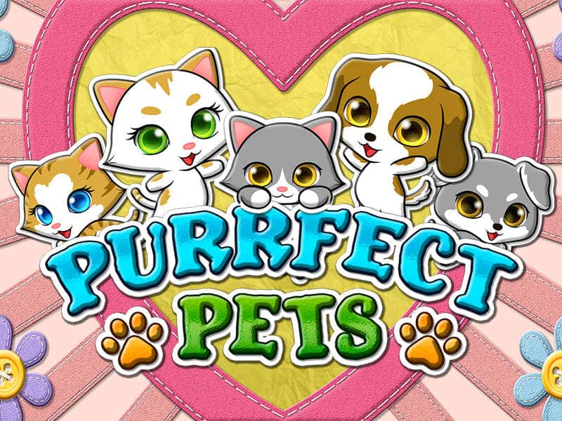 Purrfect Pets