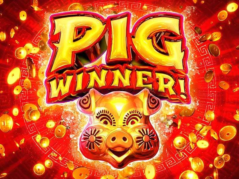 Pig Winner