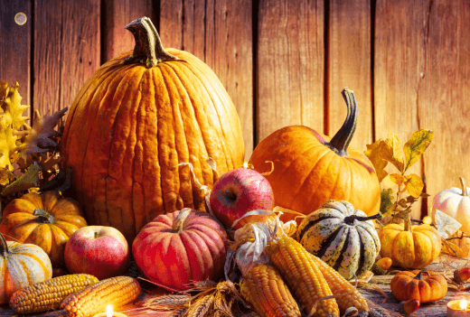 Happy Thanksgiving