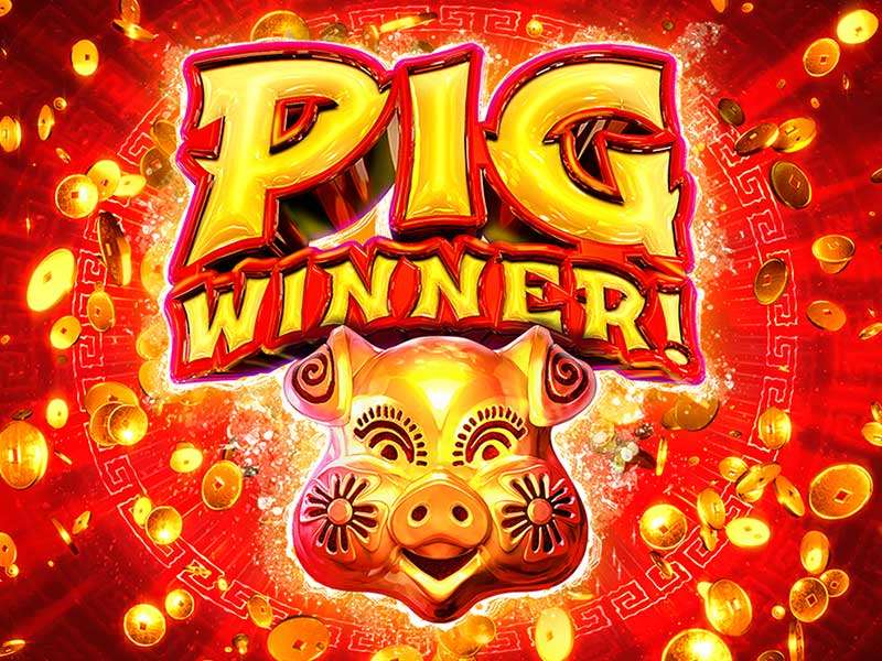 Pig Winner